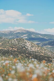 山间花草与壮丽远景