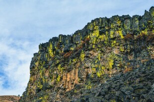 壮丽山景 绿意盎然