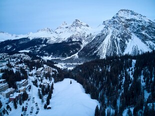 冬日雪山森林壮丽景观