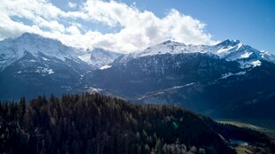 壮丽高山森林景观