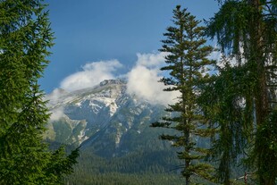 山林间的巍峨雪山