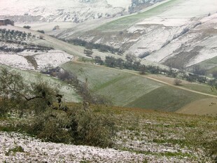 雪覆田野的美丽田园风光