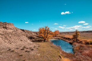 秋日旷野中的河流与树木