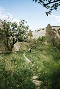 山间小径 自然野趣风景