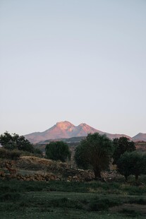 黄昏下的远山与绿植景观