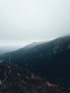 山间景色 云雾缭绕的山林