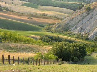 田园风光中的木栅栏美景