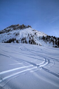 雪地上的滑雪轨迹