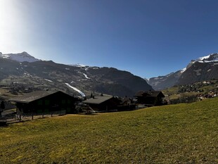 山间草地旁的美丽 居