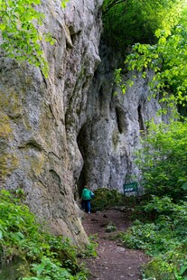 山间岩穴旁的绿色小径