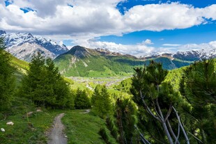 山间小径 邂逅绿野与远山
