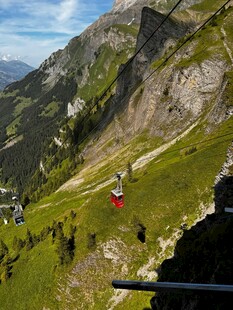 山间缆车穿梭于翠绿山谷