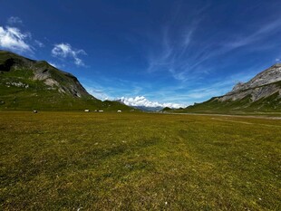 广袤草原与远处山峦风光