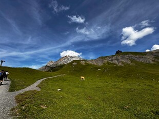 山间小径的悠然徒步之旅