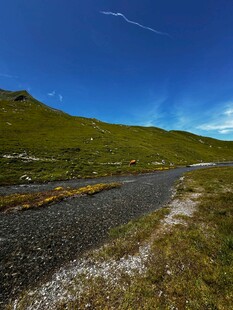 山间碎石路 蓝天绿草景