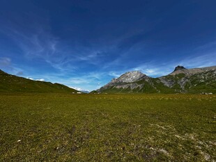 广袤草原与远处山峦美景