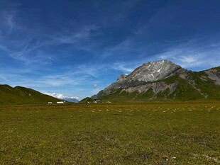 广袤草原旁的巍峨雪山