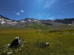 广袤草原与远处雪山美景