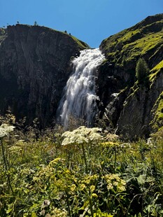 山间瀑布下的繁茂绿植