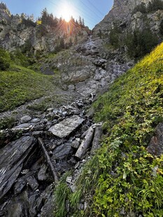 山间碎石小径与烂漫野花