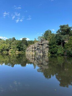 宁静湖水映岸边葱郁景致