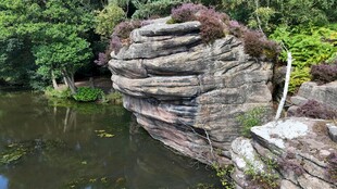 自然景观中的奇特岩石