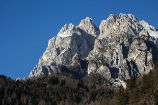 巍峨雪山与山林美景