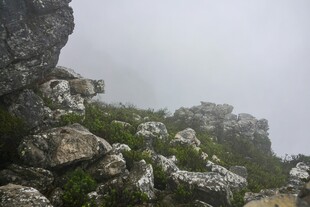 云雾缭绕的嶙峋山石景观