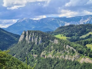 壮丽山峦间的绿意景致