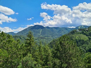 青山绿树间的秀丽山景