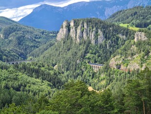 壮丽山峦间的葱郁森林