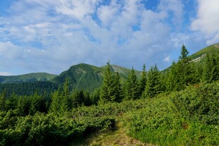 山间绿野 蓝天白云美景