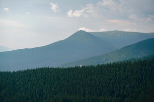 山峦林海 自然美景如画