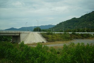 郊外公路旁的自然景致