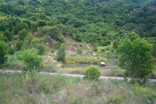 山间绿意盎然的开阔景致