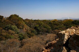 山间景致 岩石与植被