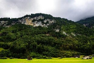 青山绿野间的宁静景致