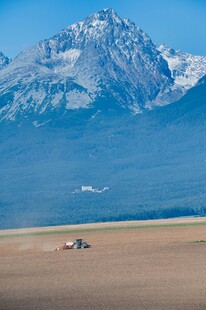 雪山下的广阔旷野风光