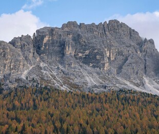 壮丽山景与多彩森林