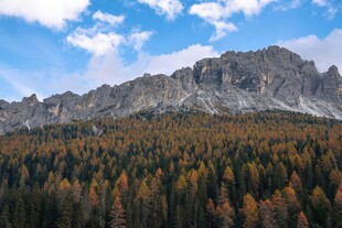 秋日山林与巍峨山峰