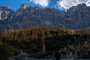 山间松林与巍峨山脉景观
