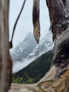 透过树洞望壮丽山景