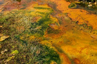 色彩斑斓的自然溪流景观