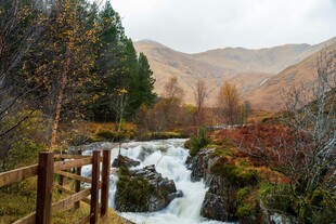 山间溪流旁的秋日美景