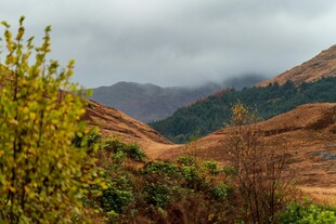 山间春色 云雾缭绕美景