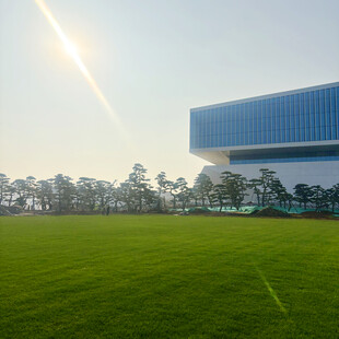 阳光下的现代建筑与绿地