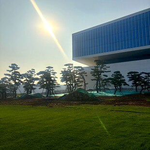 阳光下的现代建筑与绿地