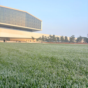 现代建筑前的大片绿草地