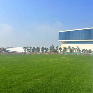 蓝白建筑旁的翠绿草坪