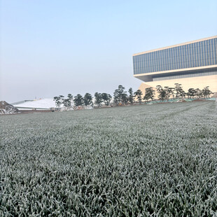 广袤农田旁的现代建筑